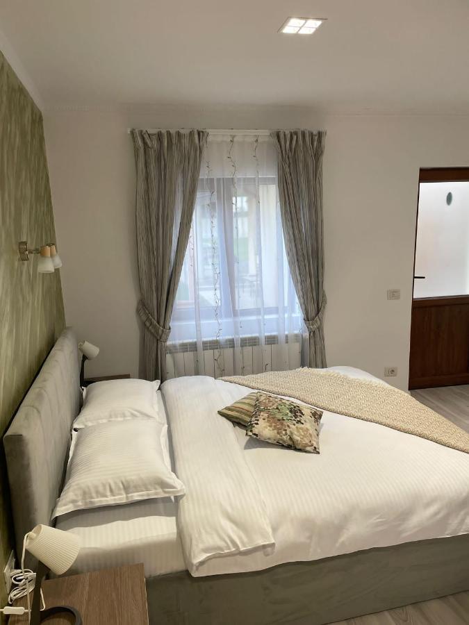 Giadda Rooms Borşa Buitenkant foto