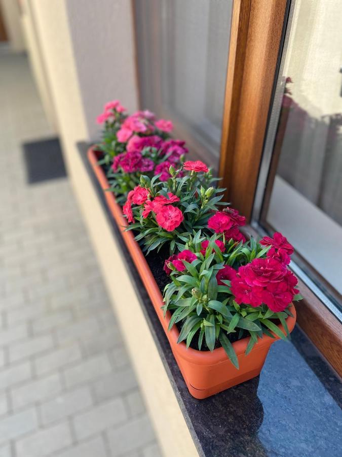 Giadda Rooms Borşa Buitenkant foto